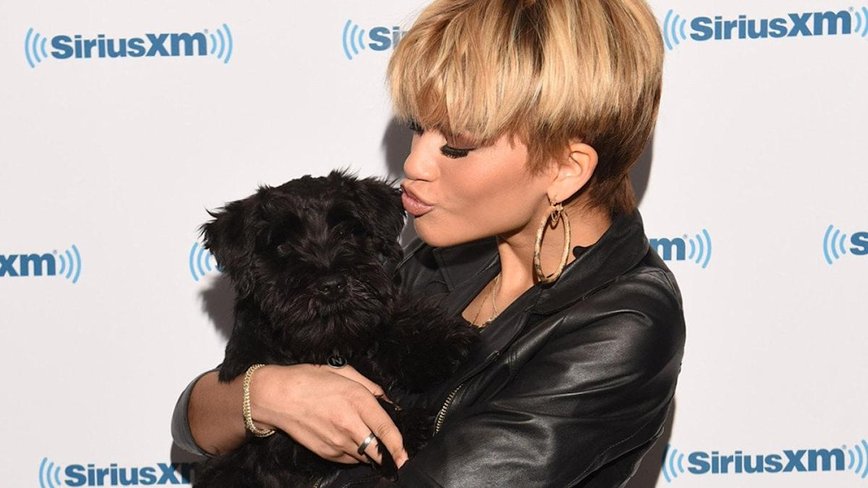 Unleashed Affection: Celebs and Their Furry Companions