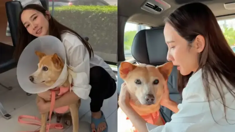 Aum Patchrapa’s Emotional Revelation: A Heartfelt Journey with Her Ailing Pet