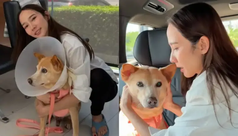 Aum Patchrapa’s Emotional Revelation: A Heartfelt Journey with Her Ailing Pet