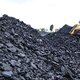 Coal Crisis Sparks Emergency Action: Cabinet Steps Up