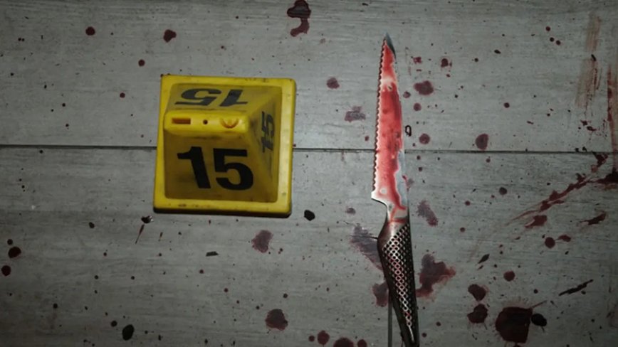 Courtney Clenney's Legal Drama: Knives, Murder, and a Trial on the Horizon