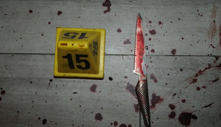 Courtney Clenney's Legal Drama: Knives, Murder, and a Trial on the Horizon