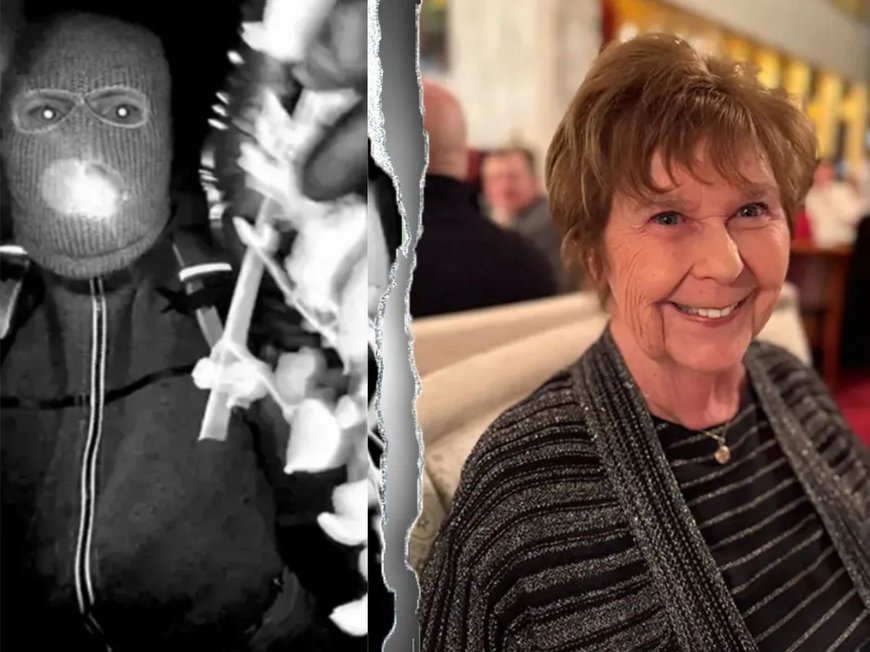 Nancy Guthrie Case