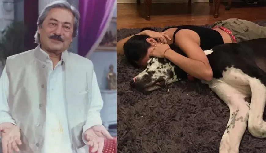 Sakina Jaffrey: The Hollywood Star Carrying Her Bollywood Roots into Tinseltown's Spotlight