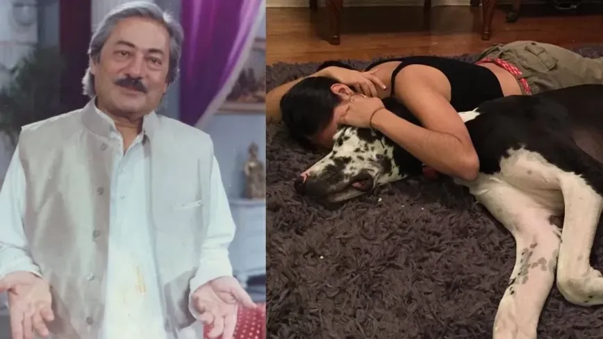 Sakina Jaffrey: The Hollywood Star Carrying Her Bollywood Roots into Tinseltown's Spotlight