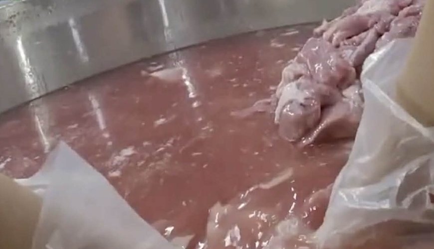 HCM City's Exploding School Lunch Nightmare – A Global Wake-Up Call on Food Safety Scandals