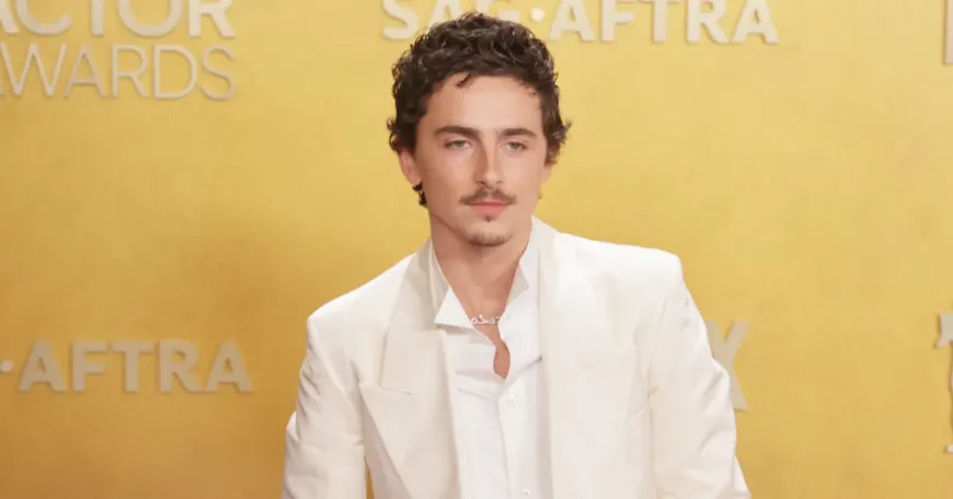 Timothée Chalamet